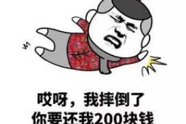 枣阳企业清欠服务